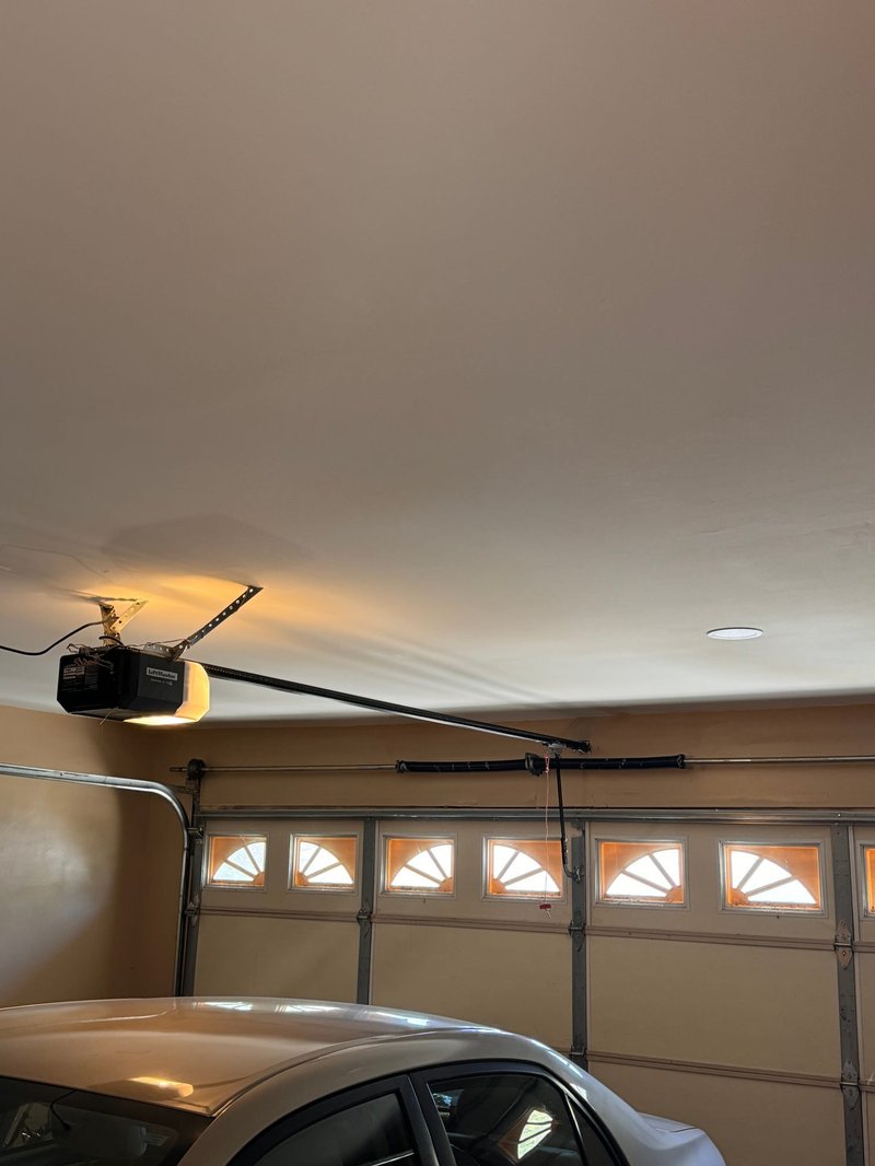 LiftMaster Opener With Sunburst Window Door ,  24/7 Garage Door and Gate Services, Inland Empire CA